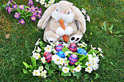 Osterhase von Kaweyka, pixelio.de