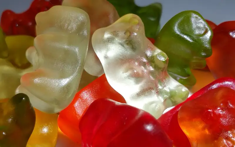 Welche sind unverzichtbar?