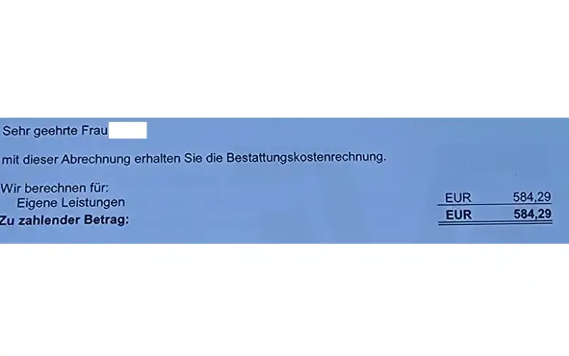 Auszug Rechnung